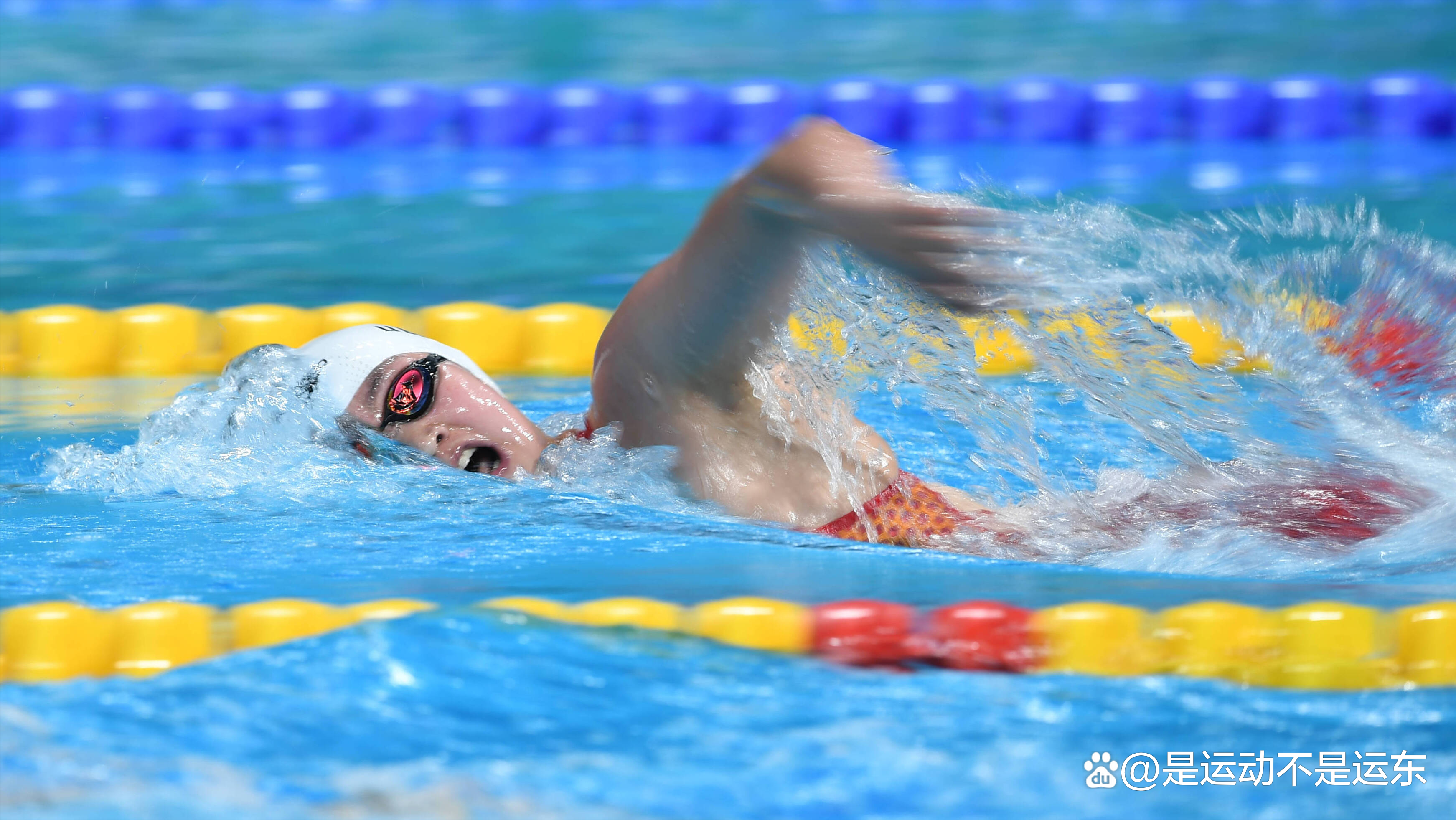 50-meter swimming world record (national swimming level 1,2,200 performance standards)